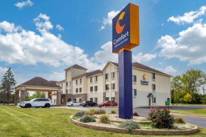 Отель Comfort Inn & Suites North Aurora - Naperville  Аврора